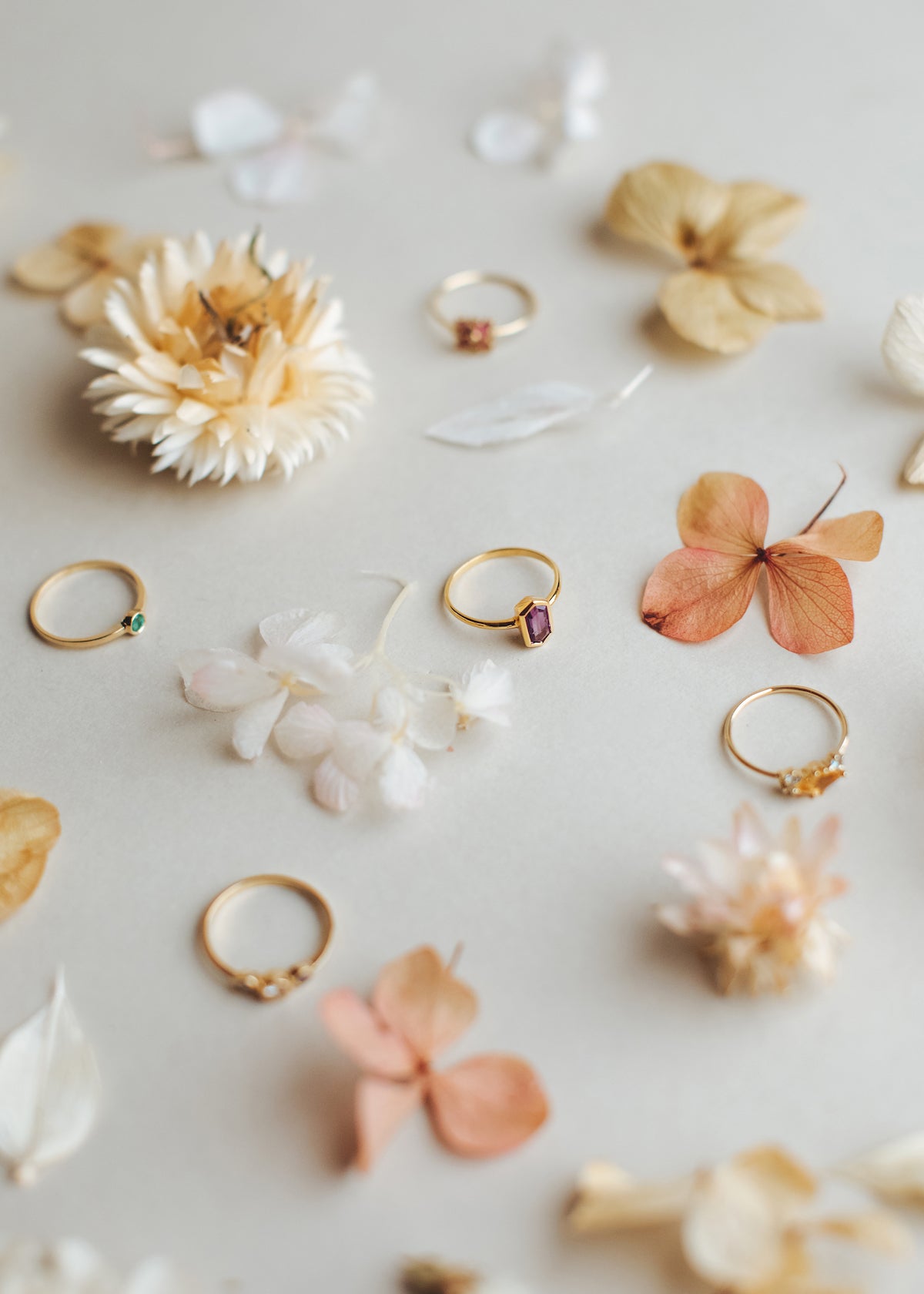 Camomile x Vanagloria