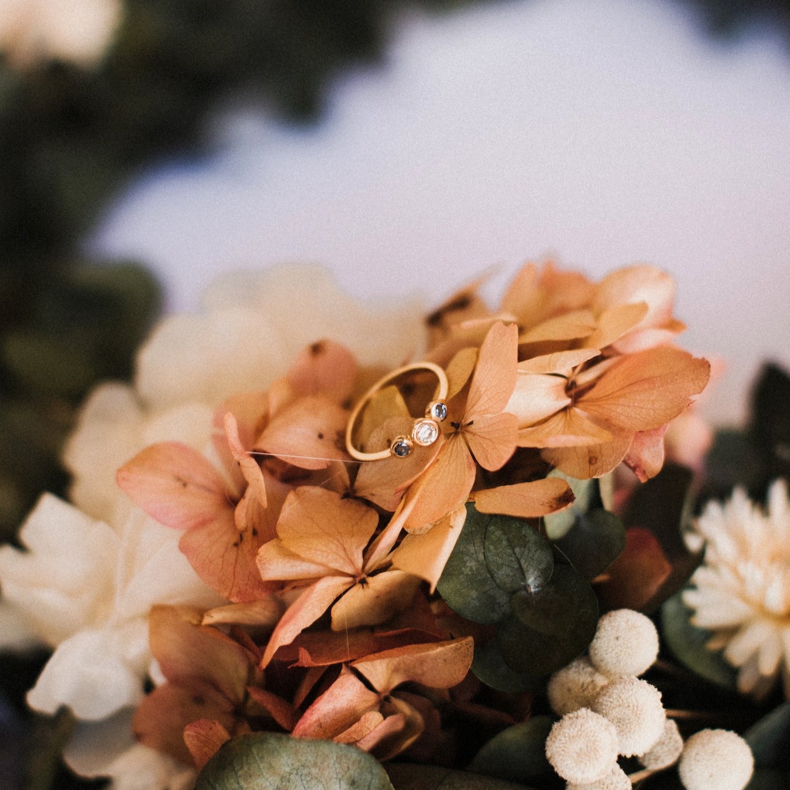 Anillo de oro Goya - Camomile Bouquet x Vanagloria Joyas