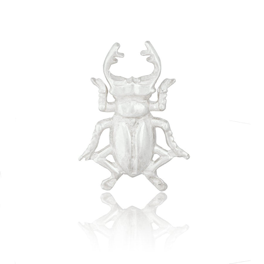 Pendientes Big Beetle