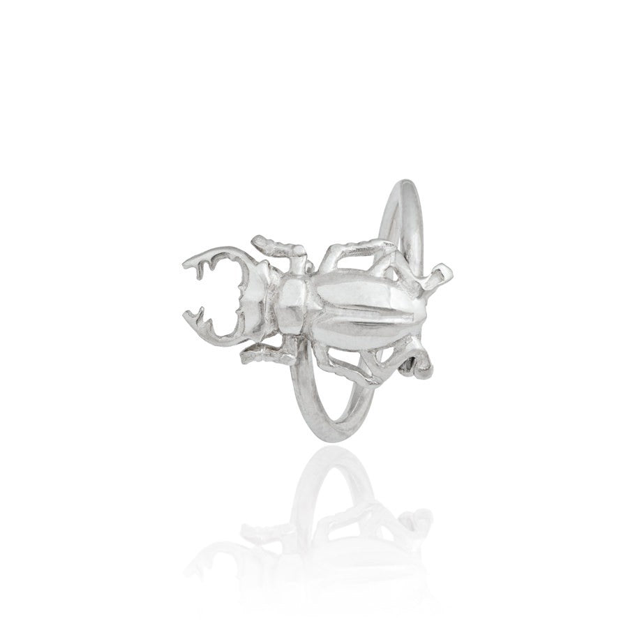 Anillo de plata Big Beetle - Vanagloria Joyas