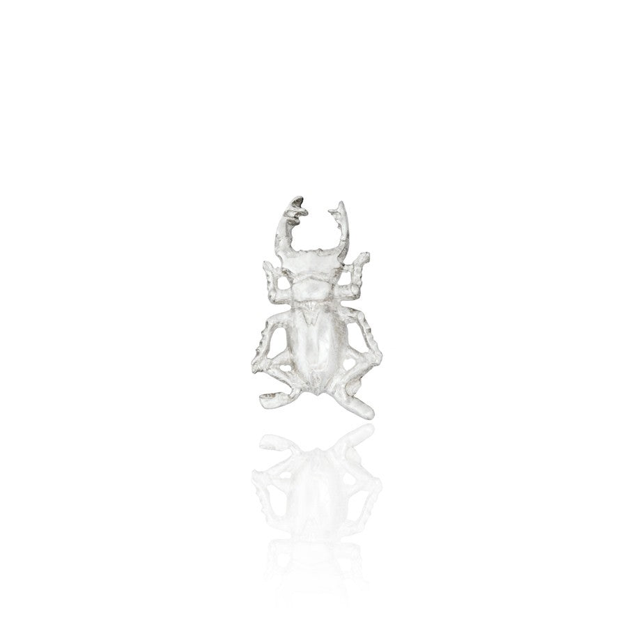 Pendientes Mini Beetle